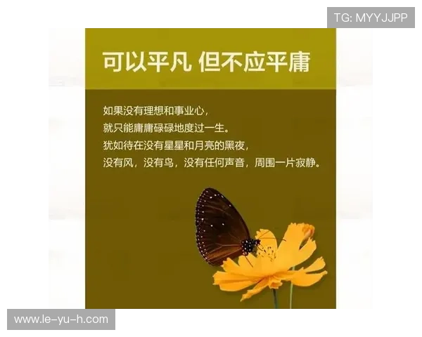 韦阿职业轨迹揭秘：从平凡到非凡的奋斗之路